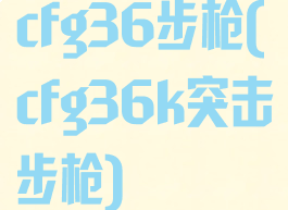 cfg36步枪(cfg36k突击步枪)