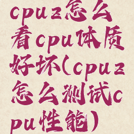 cpuz怎么看cpu体质好坏(cpuz怎么测试cpu性能)