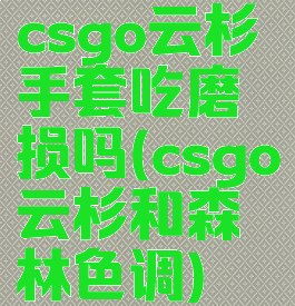 csgo云杉手套吃磨损吗(csgo云杉和森林色调)