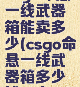 csgo命悬一线武器箱能卖多少(csgo命悬一线武器箱多少钱一个)