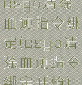 csgo清除血迹指令绑定(csgo清除血迹指令绑定开枪)