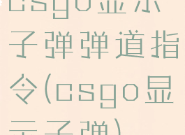 csgo显示子弹弹道指令(csgo显示子弹)