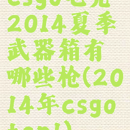 csgo电竞2014夏季武器箱有哪些枪(2014年csgotop1)