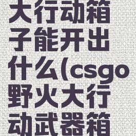 csgo野火大行动箱子能开出什么(csgo野火大行动武器箱怎么获得)