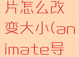 animate导入的图片怎么改变大小(animate导入图片后怎么编辑)