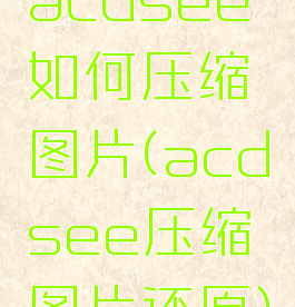 acdsee如何压缩图片(acdsee压缩图片还原)