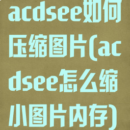 acdsee如何压缩图片(acdsee怎么缩小图片内存)