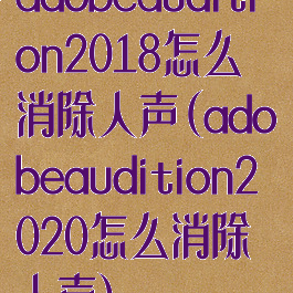 adobeaudition2018怎么消除人声(adobeaudition2020怎么消除人声)