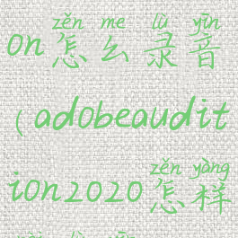 adobeaudition怎么录音(adobeaudition2020怎样内录音)