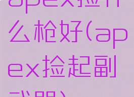 apex捡什么枪好(apex捡起副武器)