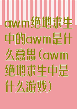 awm绝地求生中的awm是什么意思(awm绝地求生中是什么游戏)