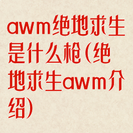 awm绝地求生是什么枪(绝地求生awm介绍)