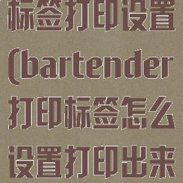 bartender标签打印设置(bartender打印标签怎么设置打印出来标准)