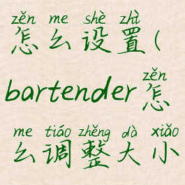 bartender4怎么设置(bartender怎么调整大小)