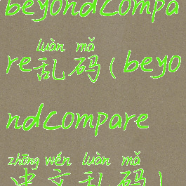 beyondcompare乱码(beyondcompare中文乱码)