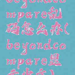 beyondcompare乱码怎么办(beyondcompare显示中文)