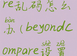 beyondcompare乱码怎么办(beyondcompare设置编码方式)