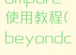 beyondcompare使用教程(beyondcompare功能)