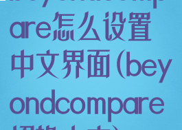 beyondcompare怎么设置中文界面(beyondcompare切换中文)