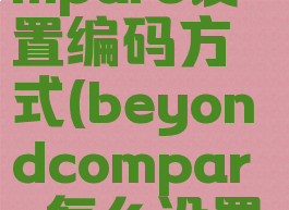 beyondcompare设置编码方式(beyondcompare怎么设置中文界面)