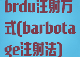 brdu注射方式(barbotage注射法)