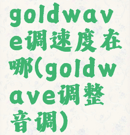 goldwave调速度在哪(goldwave调整音调)