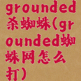 grounded杀蜘蛛(grounded蜘蛛网怎么打)