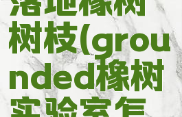 grounded落地橡树树枝(grounded橡树实验室怎么进)