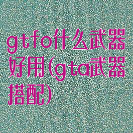 gtfo什么武器好用(gta武器搭配)