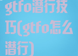 gtfo潜行技巧(gtfo怎么潜行)