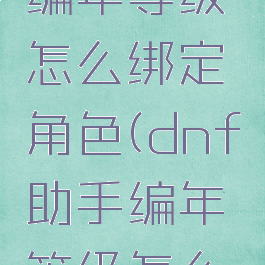 dnf助手编年等级怎么绑定角色(dnf助手编年等级怎么组队)