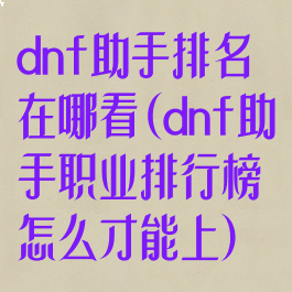 dnf助手排名在哪看(dnf助手职业排行榜怎么才能上)