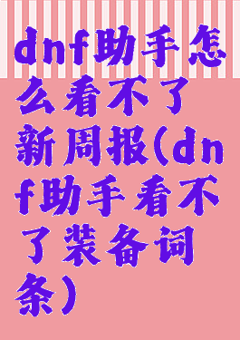 dnf助手怎么看不了新周报(dnf助手看不了装备词条)