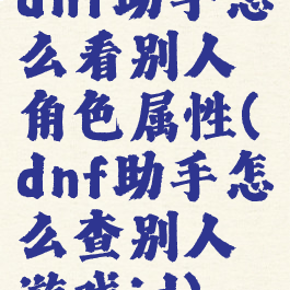 dnf助手怎么看别人角色属性(dnf助手怎么查别人游戏id)