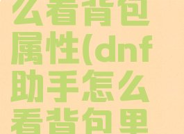 dnf助手怎么看背包属性(dnf助手怎么看背包里的装备)