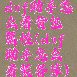 dnf助手怎么看背包属性(dnf助手怎么看装备库)