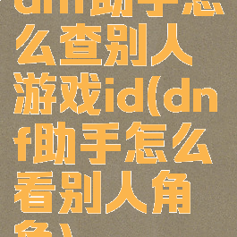 dnf助手怎么查别人游戏id(dnf助手怎么看别人角色)