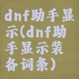 dnf助手显示(dnf助手显示装备词条)