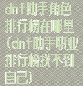 dnf助手角色排行榜在哪里(dnf助手职业排行榜找不到自己)