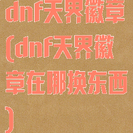 dnf天界徽章(dnf天界徽章在哪换东西)