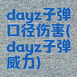 dayz子弹口径伤害(dayz子弹威力)