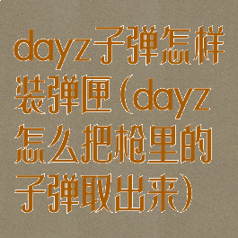 dayz子弹怎样装弹匣(dayz怎么把枪里的子弹取出来)