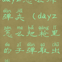 dayz怎么拆弹夹(dayz怎么把枪里的子弹取出来)