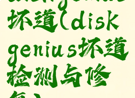 diskgenius坏道(diskgenius坏道检测与修复)