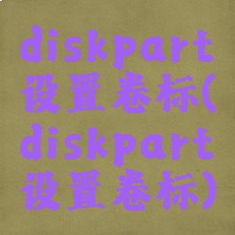 diskpart设置卷标(diskpart设置卷标)