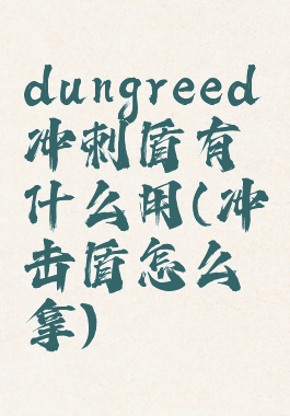 dungreed冲刺盾有什么用(冲击盾怎么拿)