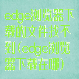 edge浏览器下载的文件找不到(edge浏览器下载在哪)