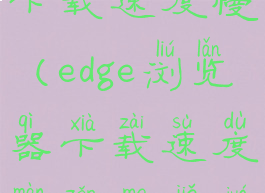 edge浏览器下载速度慢(edge浏览器下载速度慢怎么解决)