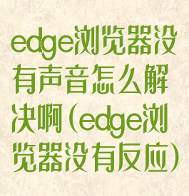 edge浏览器没有声音怎么解决啊(edge浏览器没有反应)