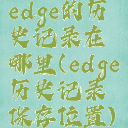 edge的历史记录在哪里(edge历史记录保存位置)